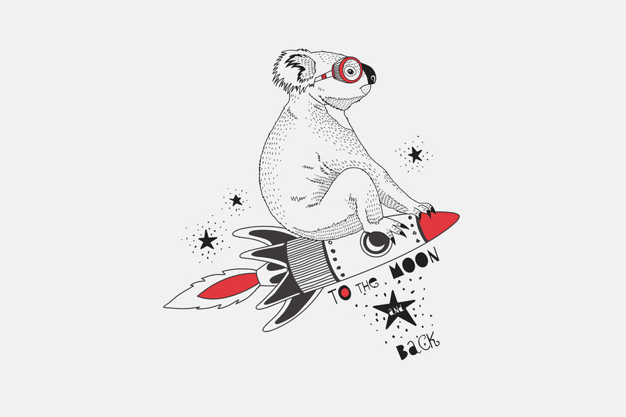 Koala na raketě Koala na raketě