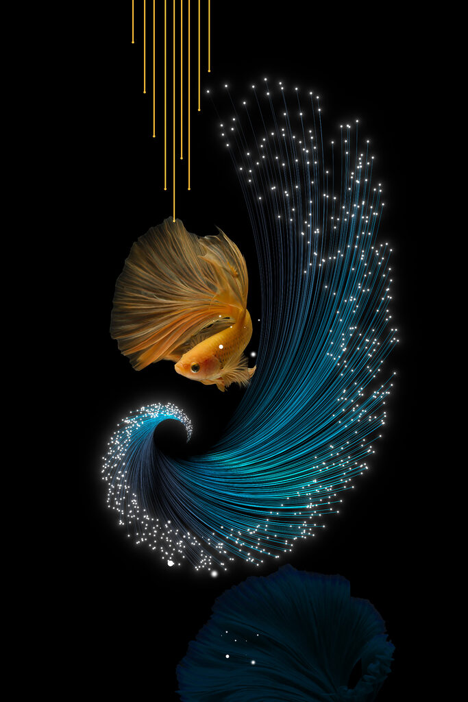 Betta fish adorned in shimmering light