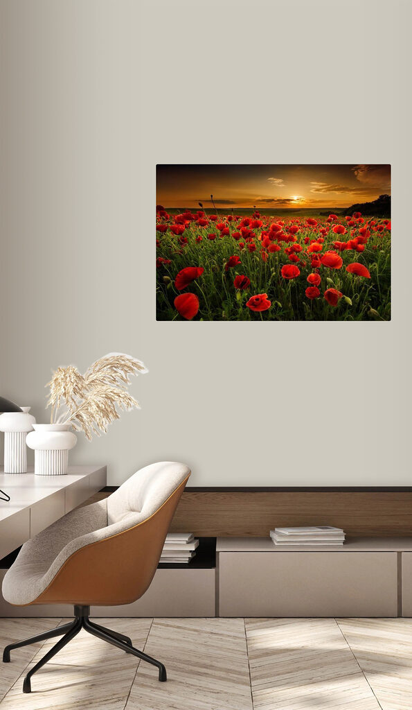 A field of red flowers