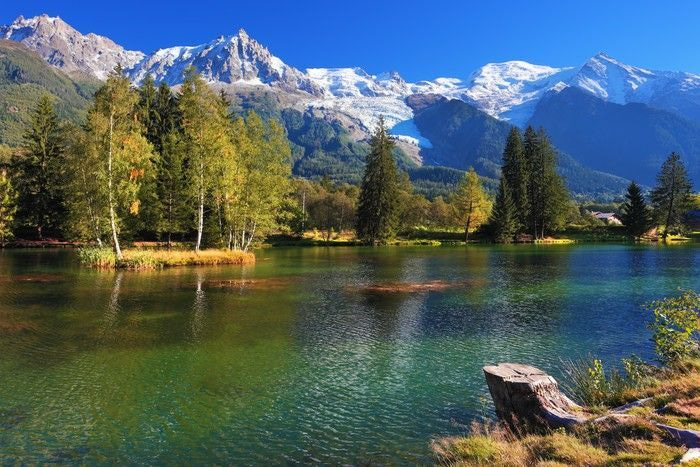 Jezero obklopené stromy a horami