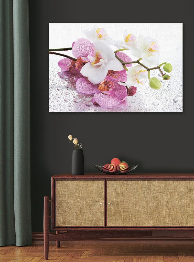 A close up of flowers A close up of flowers