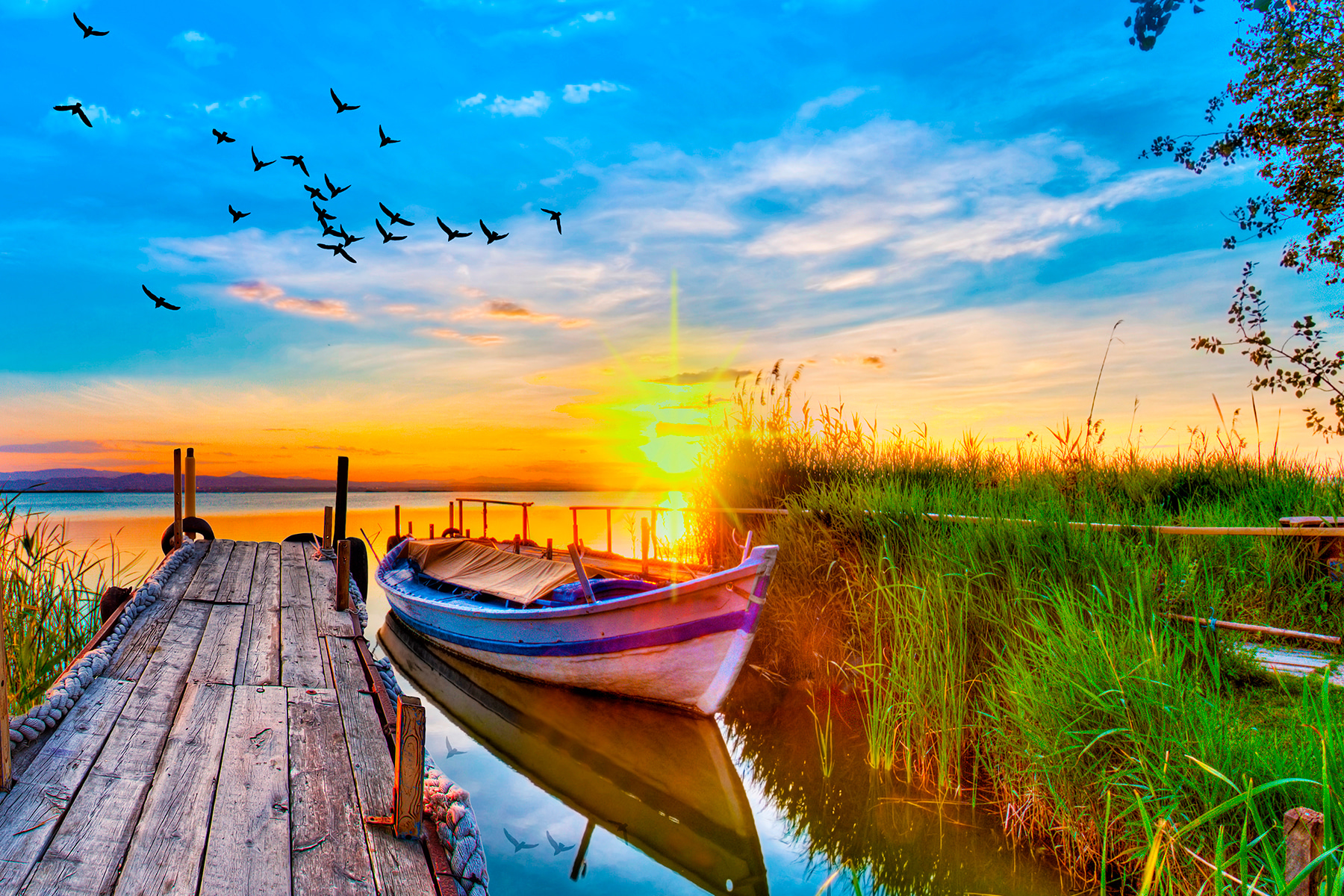 A boat on the water