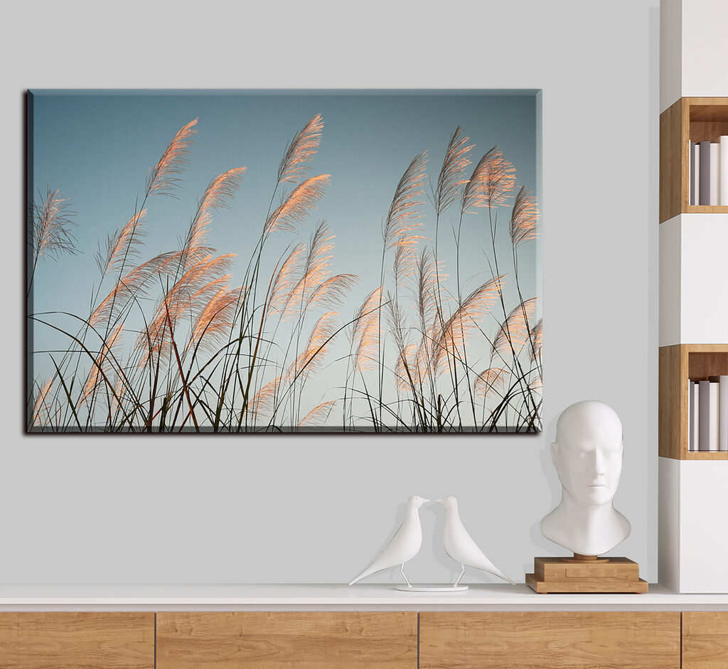 A group of tall grass