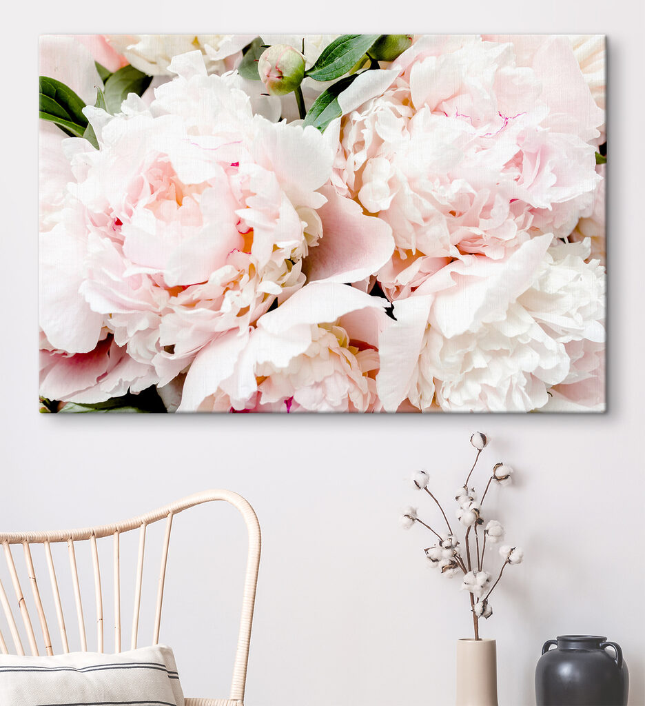 A group of pink flowers