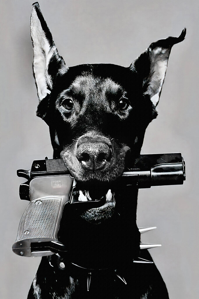 A dog holding a gun