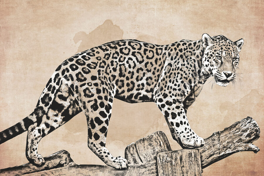 Kresba leoparda kráčejícího po kládě