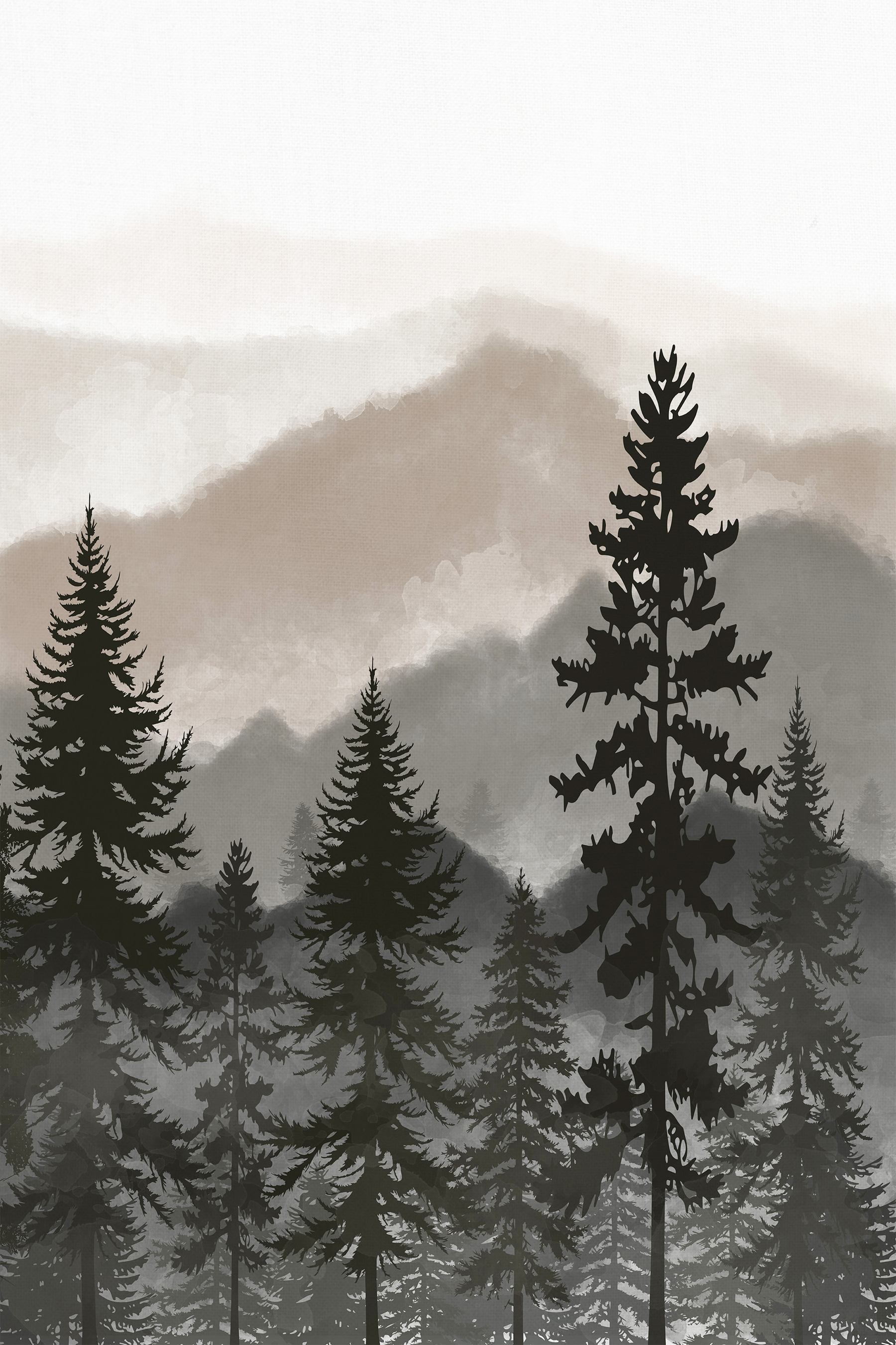 A group of trees in a forest