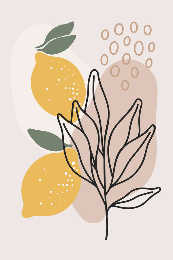 Citrony a listy nakreslené na bílém pozadí Citrony a listy nakreslené na bílém pozadí