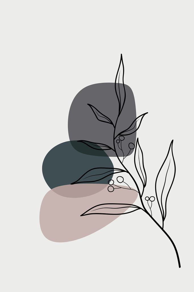 A drawing of a plant