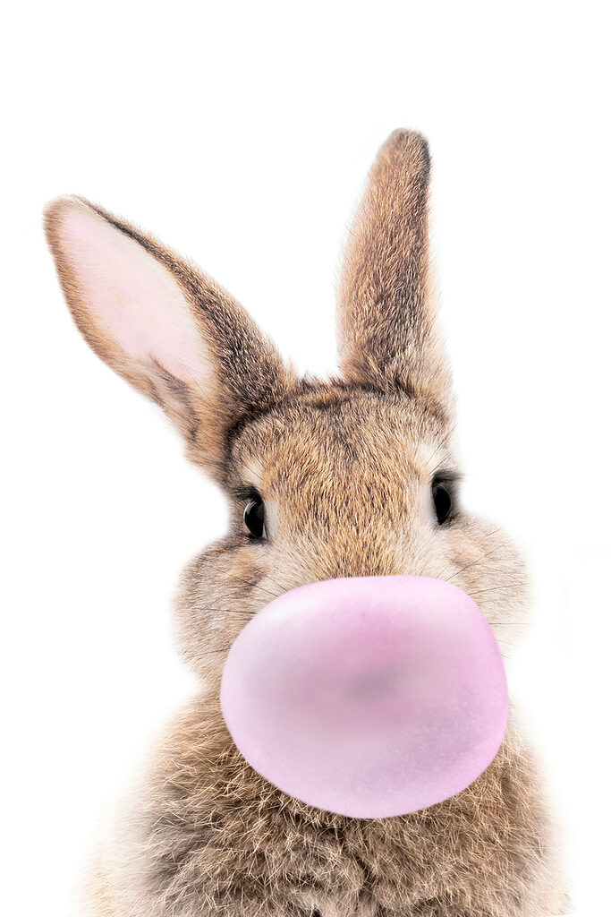 A rabbit with a bubble gum