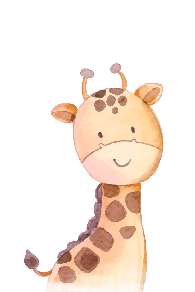 A giraffe with a white background