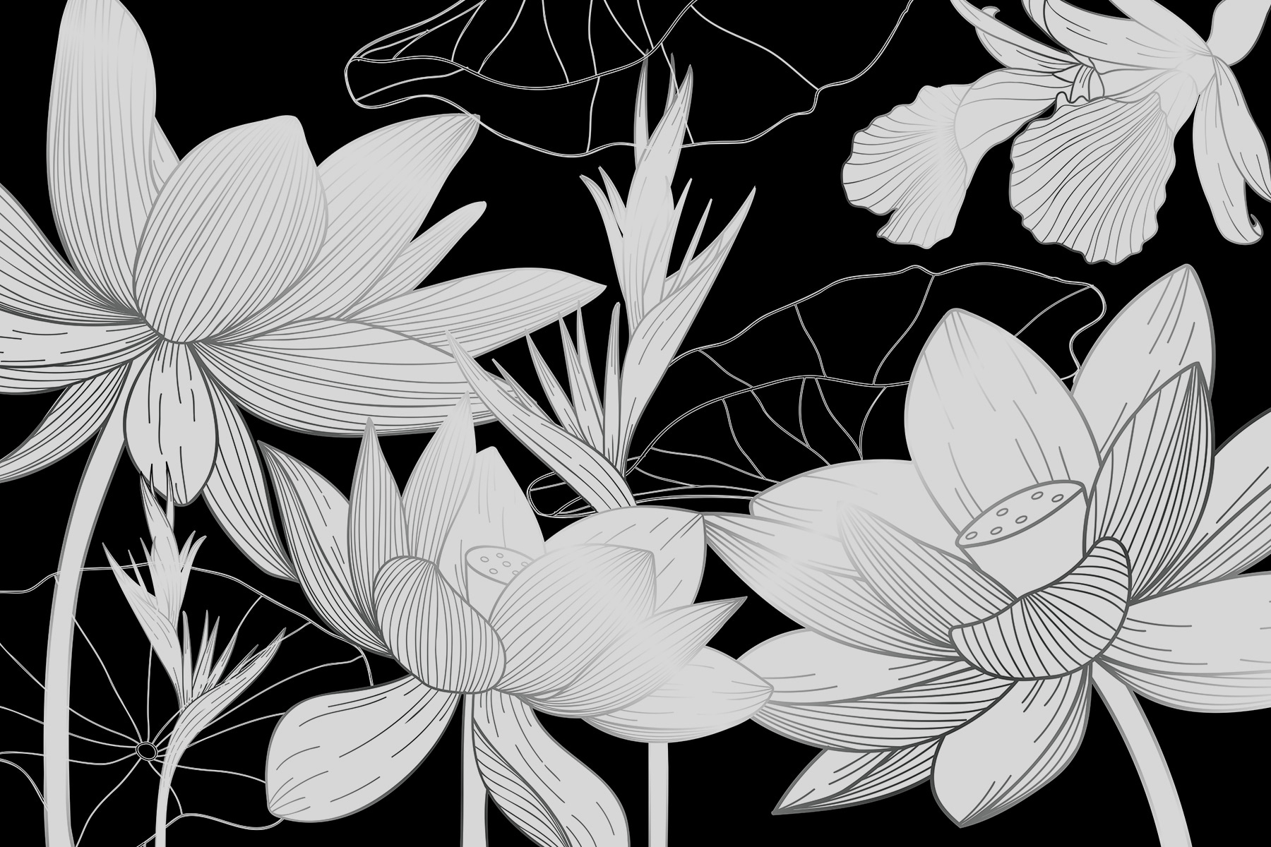 A close up of flowers A close up of flowers