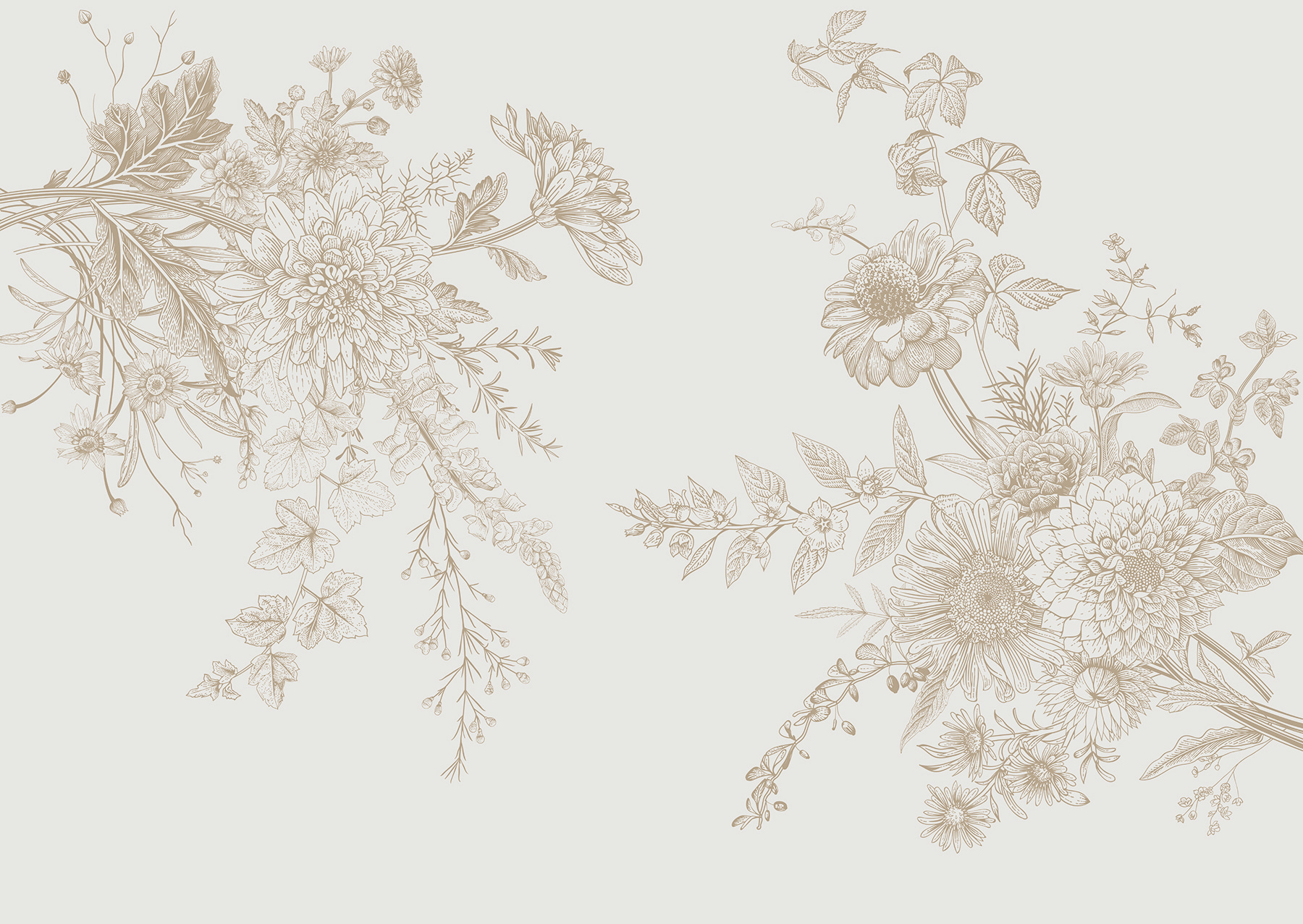 A close up of flowers A close up of flowers