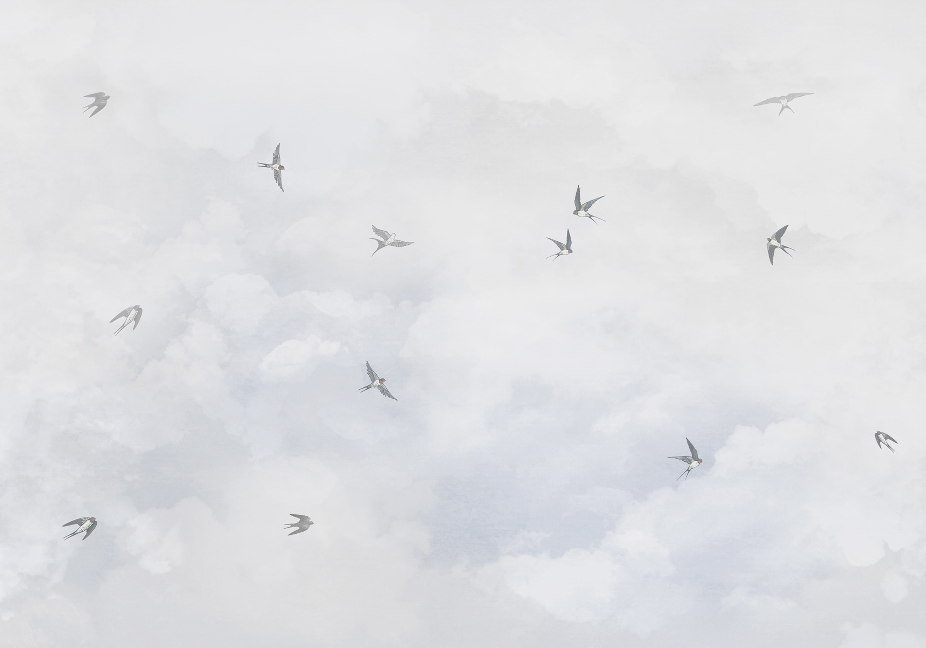 w00526p - Skupina ptáků letících na obloze - tegory