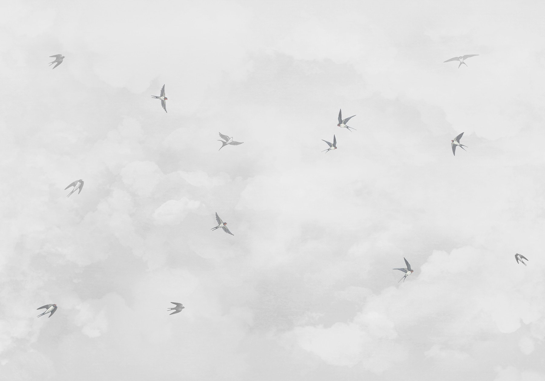 w00526v1p - Skupina ptáků letících na obloze - tegory