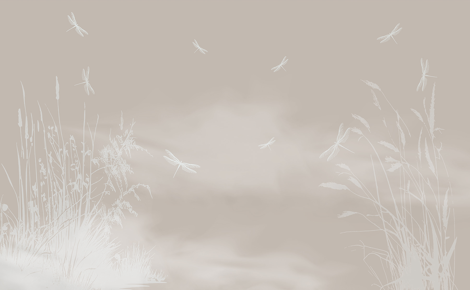 A dragonflies flying in the sky A dragonflies flying in the sky