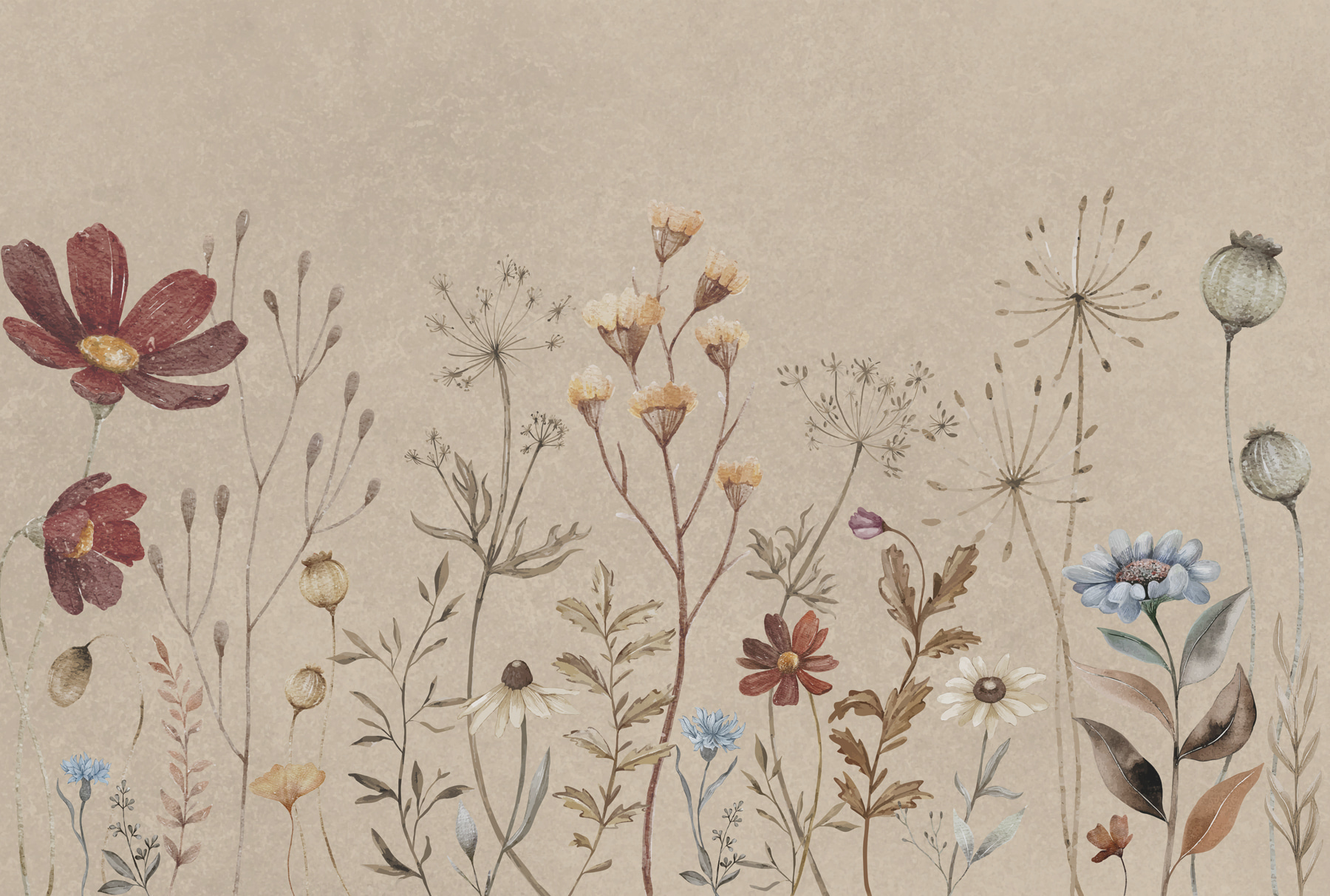 w00580p - Květiny zblízka - tegory