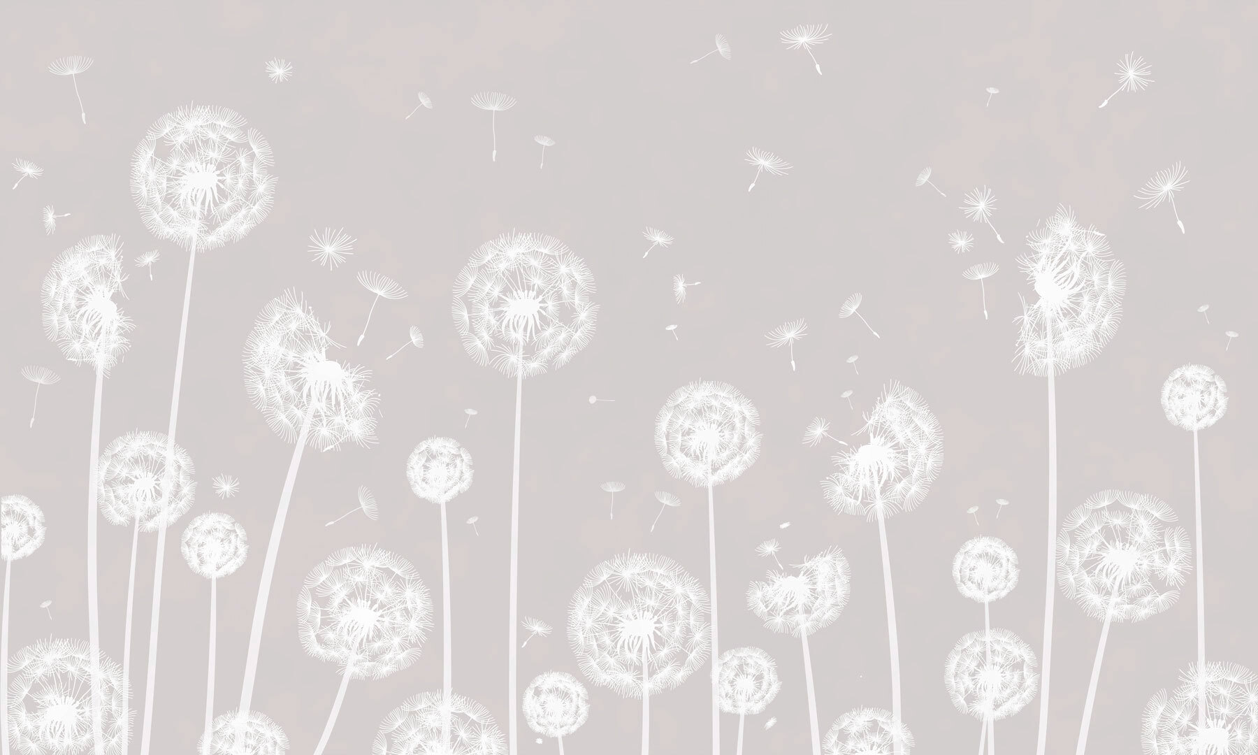 w00657p - Bílé pampelišky poletující ve vzduchu - tegory