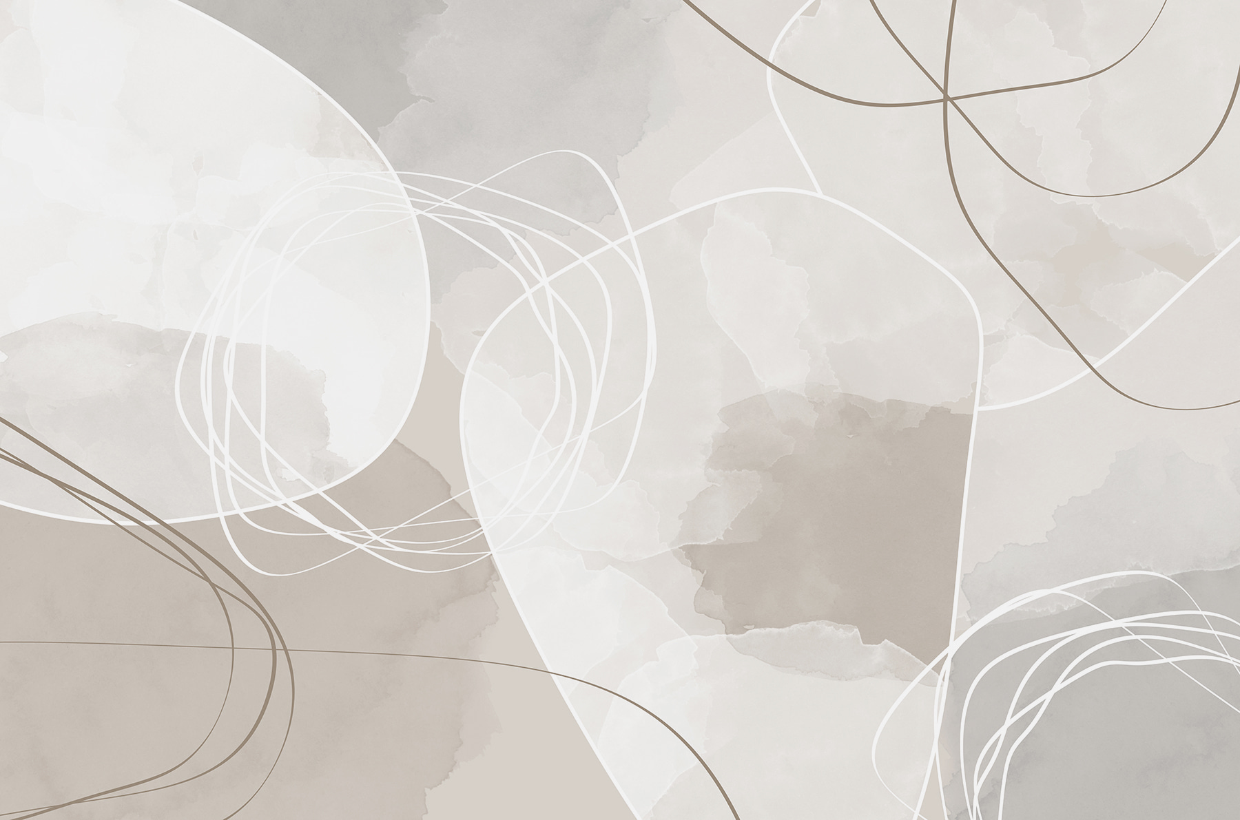 A white and gray background with circles and lines A white and gray background with circles and lines