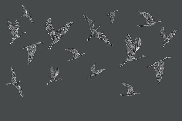 A group of birds flying