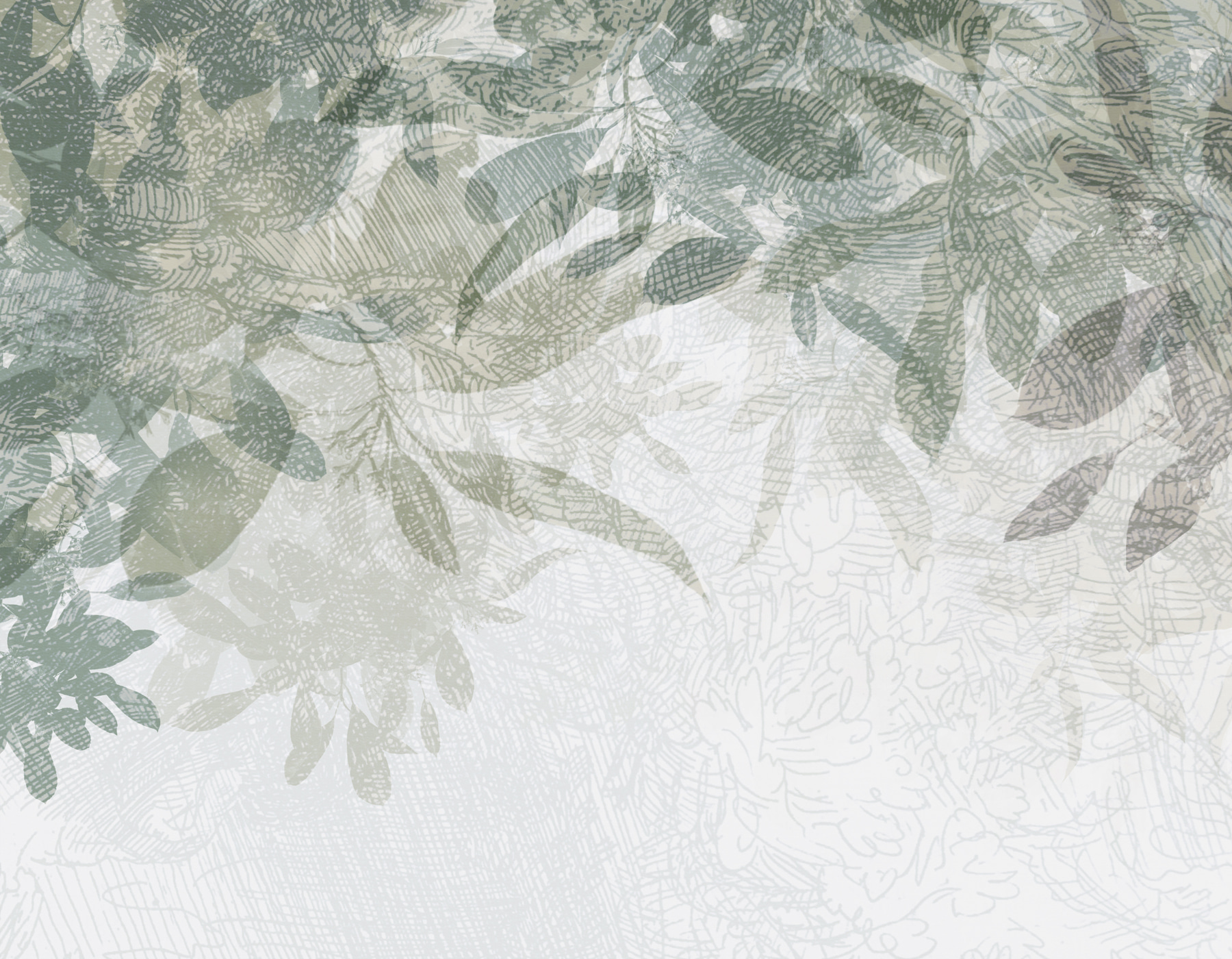 A close up of leaves A close up of leaves