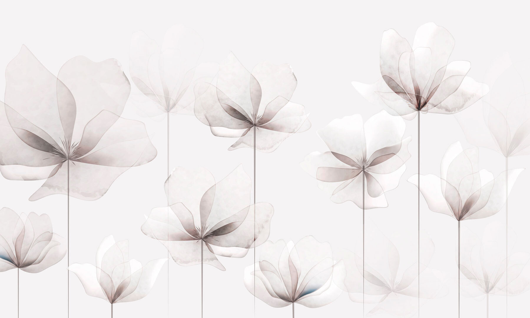 A group of white flowers