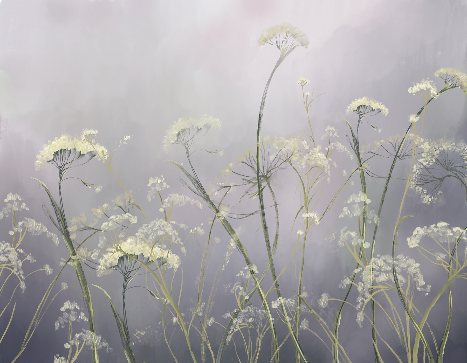 A close up of flowers A close up of flowers