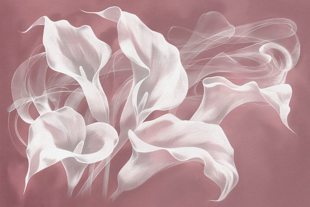 Obrázek #1 z Marion O.