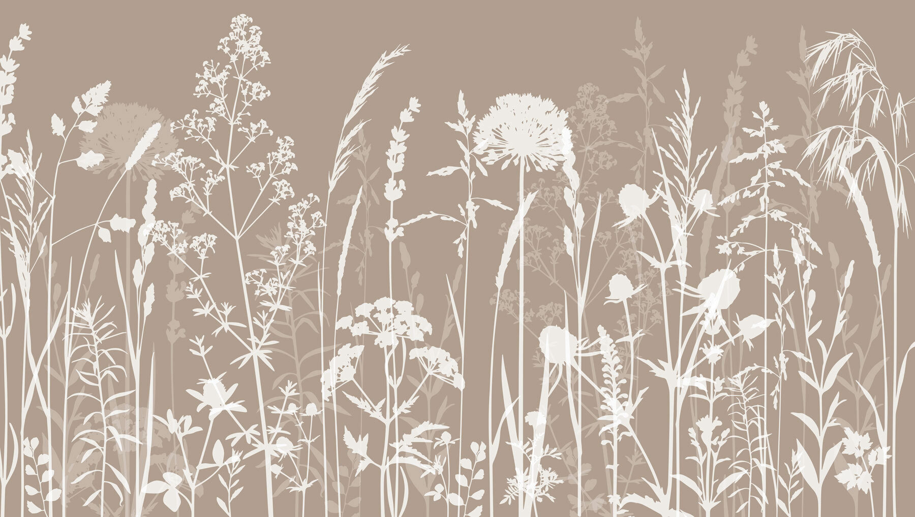 A close up of flowers