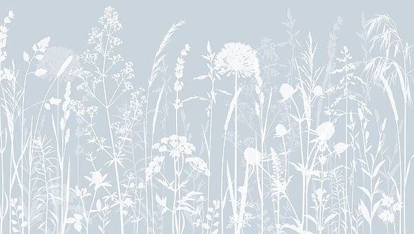 A white silhouettes of flowers