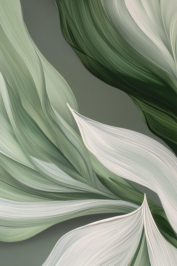 A close up of leaves