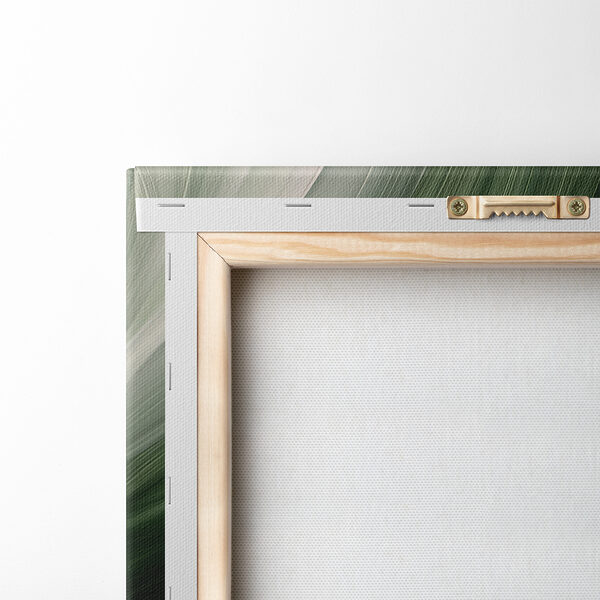 A close up of leaves