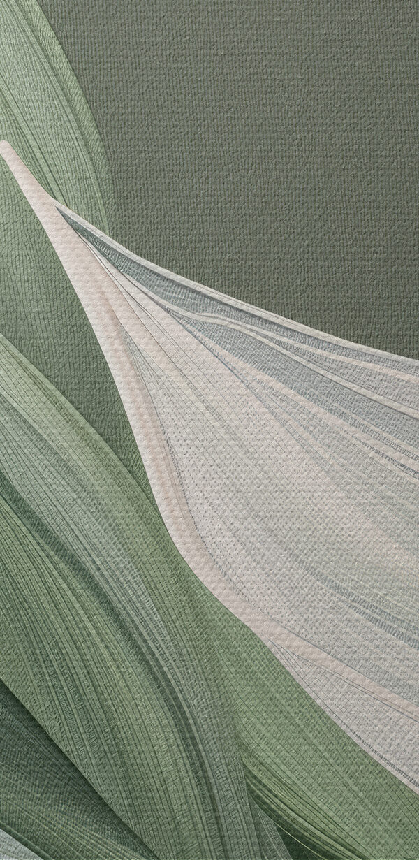 A close up of leaves