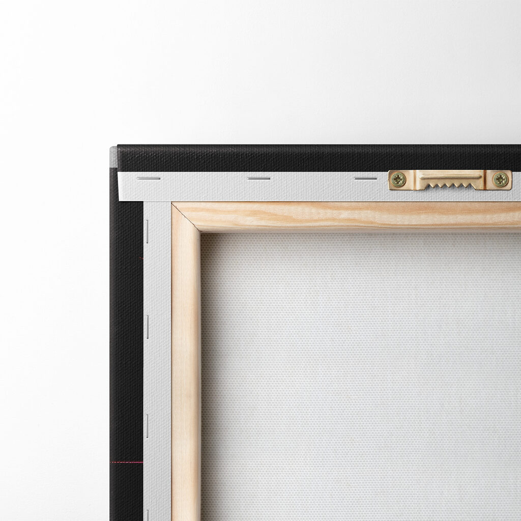 A colorful cat with a black background