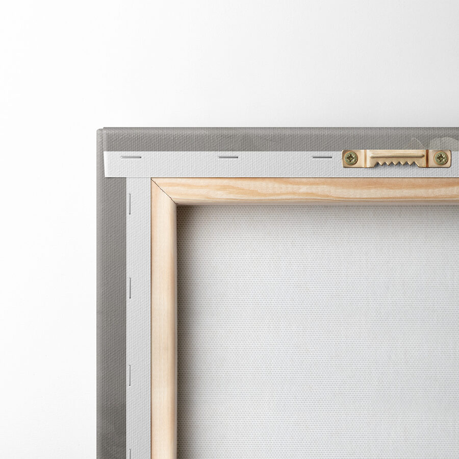 Detailní záběr na květinu Detailní záběr na květinu