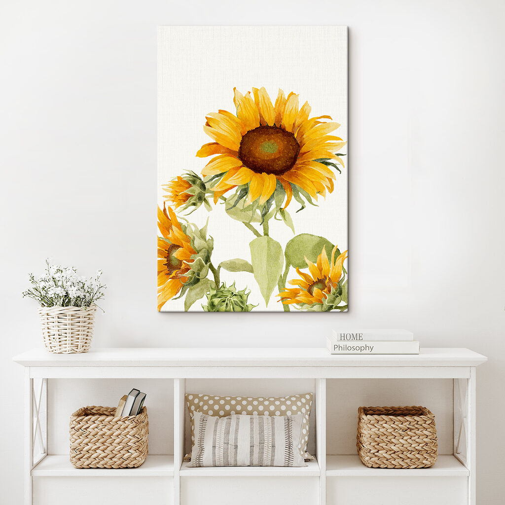 A close up of a sunflower A close up of a sunflower