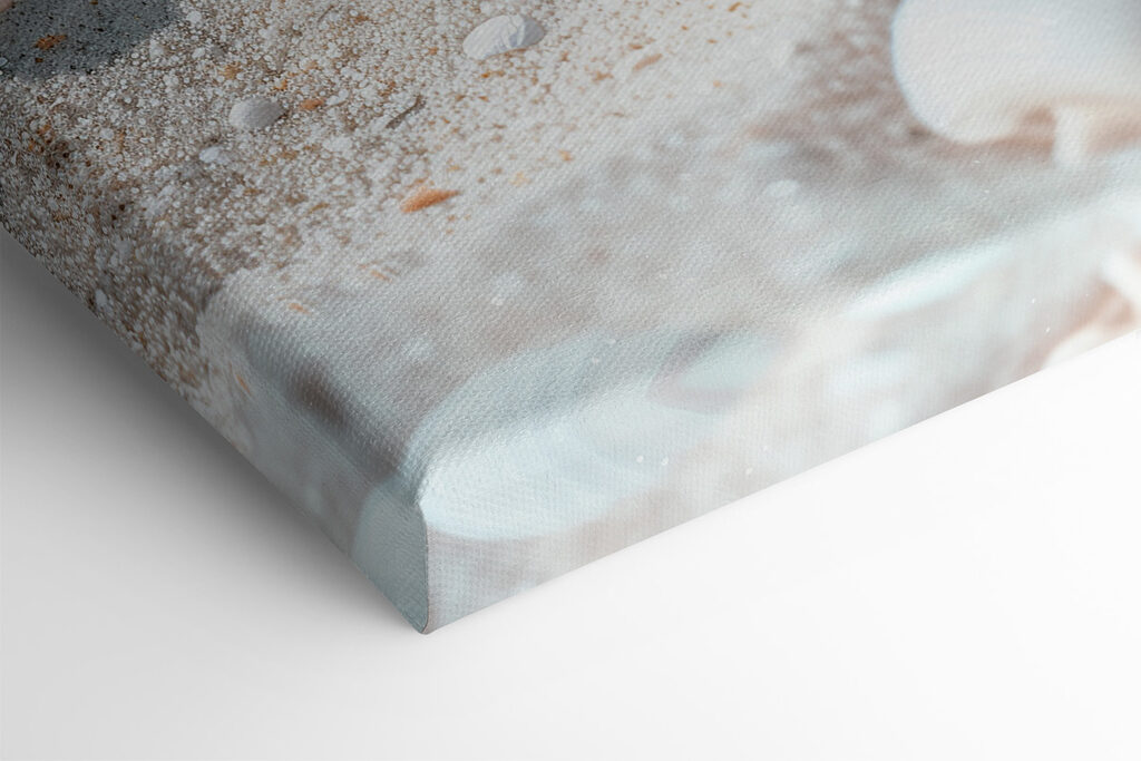 A group of shells and starfish on sand