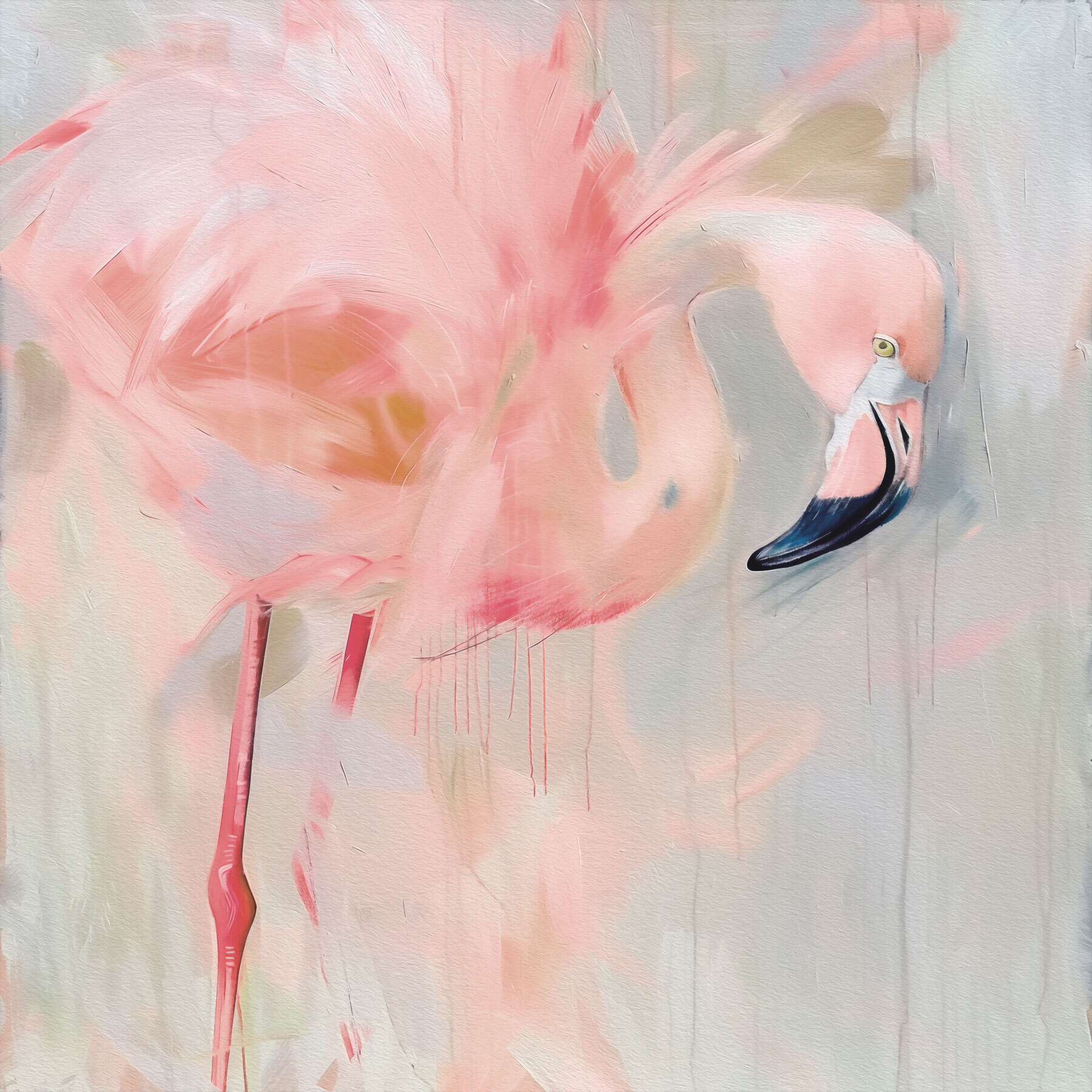 Pink flamingo with long legs