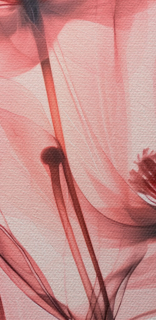 Close up of flowers Close up of flowers