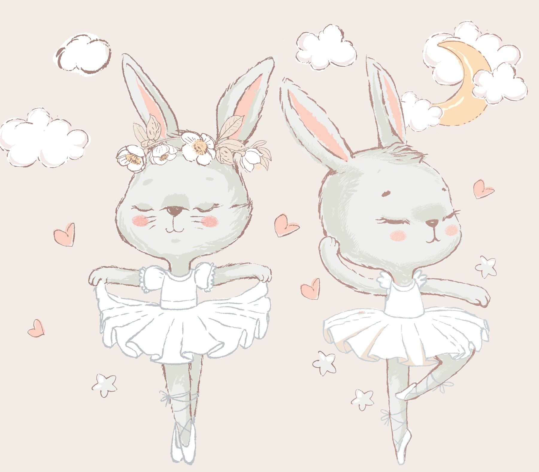Couple of bunnies in ballet tutu