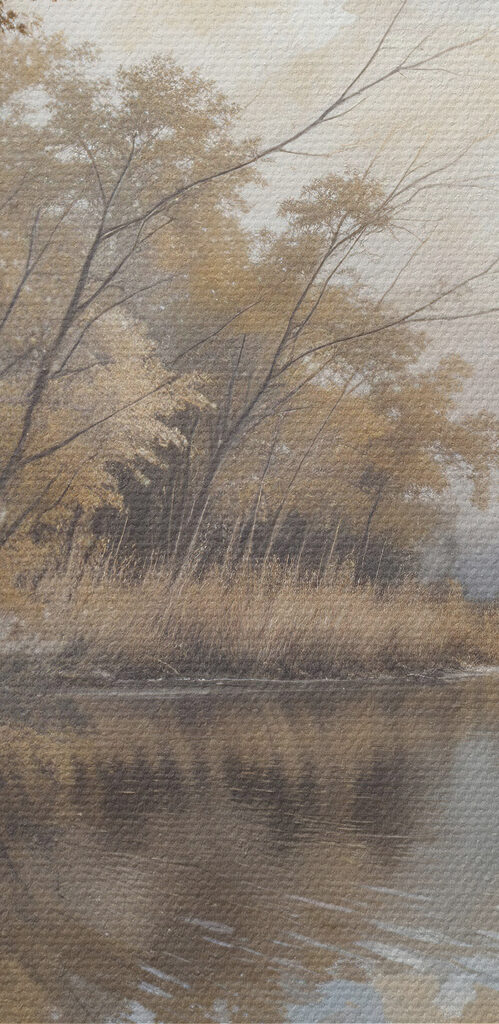 River with trees and bushes