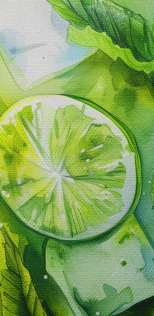Watercolor of a drink with limes and leaves Watercolor of a drink with limes and leaves