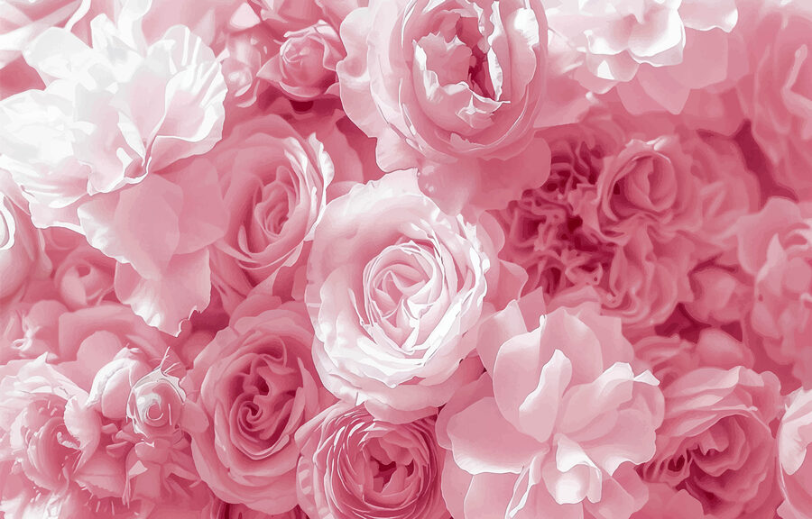 Group of pink flowers Group of pink flowers