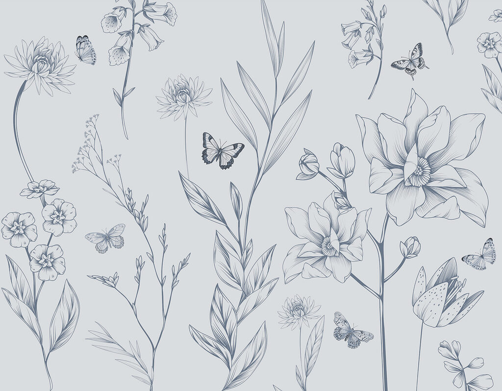 Drawing of flowers and butterflies Drawing of flowers and butterflies