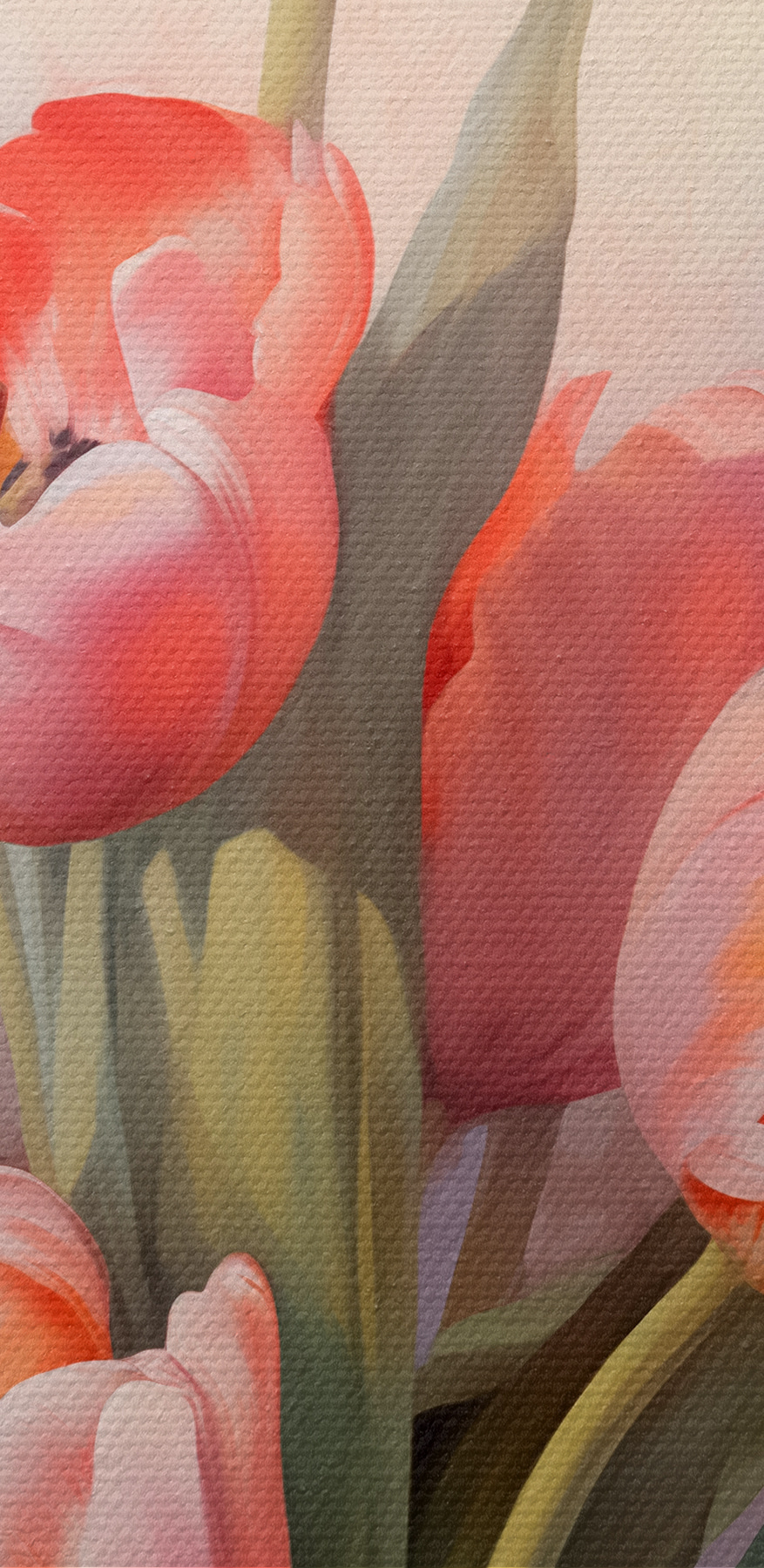 Malba růžových tulipánů