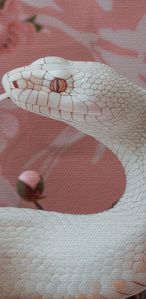 White snake with pink flowers