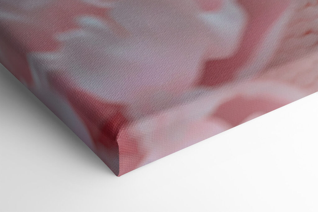 White snake in pink flowers