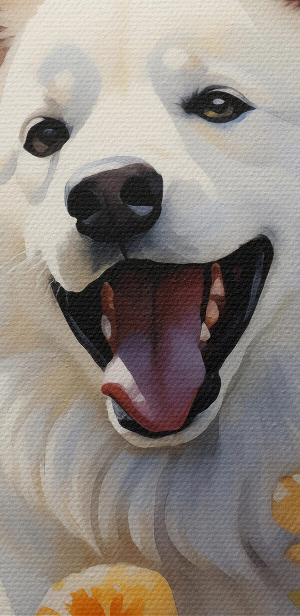 White dog with butterflies in a field of flowers