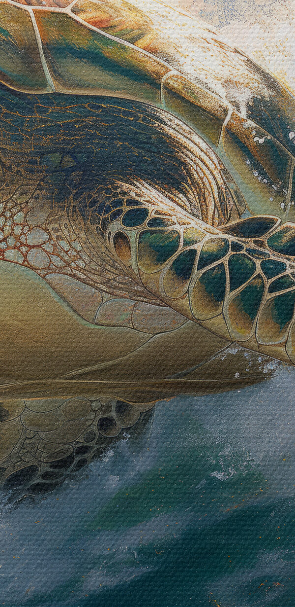 Mořská želva plavající v oceánu Mořská želva plavající v oceánu