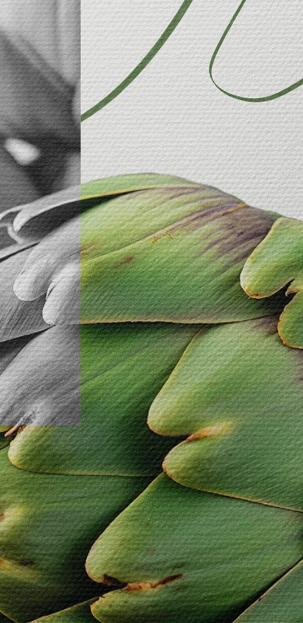 Artyčoky na stole se zeleným pozadím Artyčoky na stole se zeleným pozadím